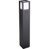 Firstlight Evo - Borne lumineuse d'extérieur à 1 ampoule LED Graphite IP54
