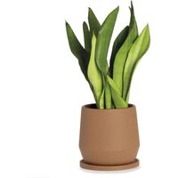 Pot de fleurs en céramique terracotta déco naturelle - Terracotta naturel mat
