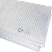 Bâche Transparente Imperméable 100 g/m² Avec Œillets - Protection Pour Voiture - Polyvalente - 5 x 8 m