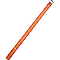 Collare igienico in Biothane 25 mm x 40 cm Colore Spagna