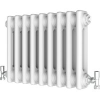 Biubiubath 300x425mm Traditional Cast Iron Style Radiator Horizontal 2 Column White