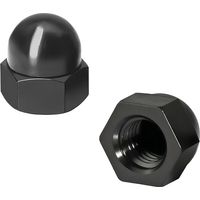 25 Pièces Protection Cache pour Écrous, M6 Capuchon de Boulon d'écrou, Cache-Boulons en Plastique, Écrou Borgne, Noir
