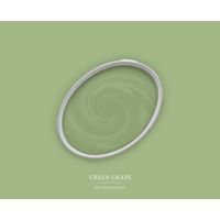 Peinture vert clair mat moderne et résistante Peinture facile à appliquer Peinture The Color Kitchen TCK4008 5L