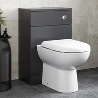 Alpine Black Back to Wall Toilet Unit & D Shape Saturn Toilet 500 x 300mm