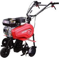 Motoculteur thermique 6,5 CV – Moteur 4 temps ECO200 – Largeur de travail 60-80 cm – 24 couteaux de 25 cm pour préparation du sol - tm-450g