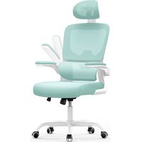 Office Desk Chair - bigzzia high back Mesh Office Chair with Flip-Up Armrest - Computer Chair with Back Support and Headrest - Green