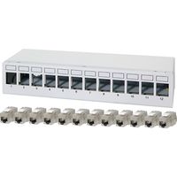 LOGILINK panneau de brassage NK4093 12Ports avec 12 modules CAT6A inclus