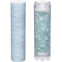 BWT – Pack annuel antitartre – 2 cartouches PUREPHOS – Filtration 20 µm – Action bactériostatique – Protection jusqu'à 100°C