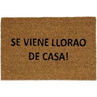 ANDREA HOUSE AX71031 Felpudo "Llorao De Casa" 40X60 - ref: AX71031