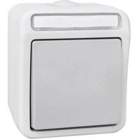 Interruptor Peranova 102453 impermeable IP54 resistente polvo