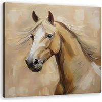 Quadro su tela, Animali Cavallo Vintage - 50x50