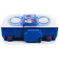 Incubatrice per Uova Automatica Professionale Borotto Real 49 Plus