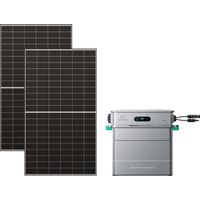 Zendure SolarFlow 800 Pro 2 – Balkonkraftwerk mit Speicher, 2640W Solar-Eingang, 1000W AC-Laden, 800W Ausgang, KI-Energiemanagement, mit 2x500W Solarpanel