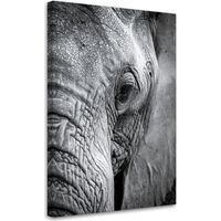 Impression sur Toile, Éléphant africain noir et blanc,60x90