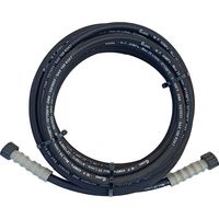 Tubo per idropulitrice alta pressione R2 5/16 M22 M22 - 10mt