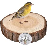Birds Round Perch Platform, 6cm Wooden Perch Platform for Bird Cage, Parrots Perch Playground Stand Exercise Toy Standing Cage Accessories for Small Parakeets Cockatiels Hamster Gerbil Rat Mouse