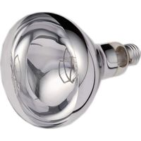 Ampoule chauffante commerciale pour aliments – Ampoule chauffante infrarouge 250 W (110 V)