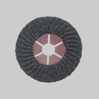 Disco semiflessibile al carburo di silicio diametro 115x22 mm - grana 60 conf. da 25 pz