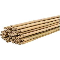 PLANTAWA Canne di Bambù 60 cm Confezione 25 Unità Ø 6-8 mm Paletti per Piante di Pomodoro, Ortaggi e Alberi Paletti per Piante di Varie Dimensioni. Resistenti Canne di Bambù