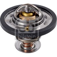 Termostato 23981 febi