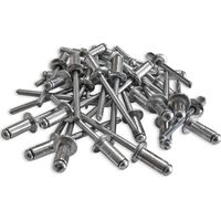 500 rivets alu tete standard de 4.8 x 10 tige acier