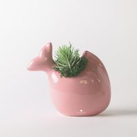 Pianta grassa in vaso ceramico artigianale per decorazione e regalo Pesciolino - Rosa