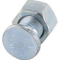 Pflugschraube mit 2 Nasen Oval M14x30 Naud NAUD 051842