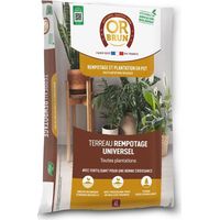 Or Brun Terriccio Universale per Repotting 6L per Giardinaggio