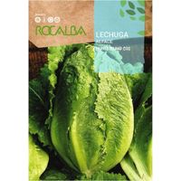 Rokalba -Samen Lechuga Parris Island cos 100g