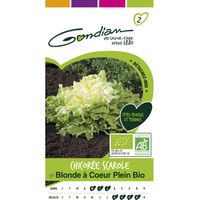 Gondian - chicoree scarole blonde a cœur plein bio
