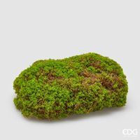 EDG Zolla Muschio L 30 x L 21 cm