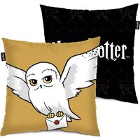 Coussin - Harry Potter - 40x40 cm