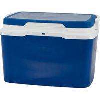 Glacière de camping 5 L bleue au design compact