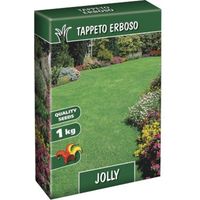SEME PRATO JOLLY - KG 1 - 1 pezzo