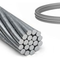 DQ-PP Stahlseil verzinkt 1x19 Ø1 mm 5 m