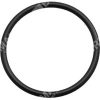 Anello OR per pompe BERTOLINI COMPATIBILE - 023372