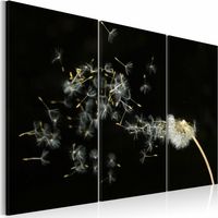 Tableau pissenlit fugacité du moment - 90 x 60 cm