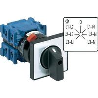 Kraus & Naimer CH10 A007-624 FT2 Interruptor Gris
