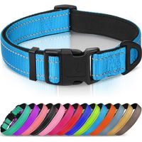 Shine Home Collier pour chien avec boucle de sécurité, collier réfléchissant réglable avec rembourrage en néoprène doux, collier de sécurité pour petits chiens, taille L, bleu clair