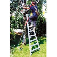 Scala agricola 10 pioli - Lunghezza 2.79m - SCA1969S/10-SCCSTO