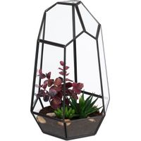 Relaxdays Terrario Piante, Mini Serra Vetro e Zinco, HLP 25x17x15 cm, Piantine Grasse e Muschi, Vaso Ecosistema, Nero