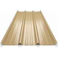Tablett aus lackiertem Stahl 1045 50/100 Beige 1015, L: 105 cm, L: 300 cm