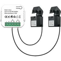 Tuya Compteur d'énergie WiFi bidirectionnel 1/2 canal avec pince App Monito pour facteur de puissance et fréquence pour analyse de consommation (2 voies)