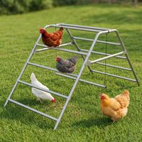 PawHaven Chicken Hen Perch PH-MCP02