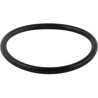 O-Ring AGRIA AGW09367