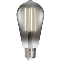 LED E27 Smart Led "Smart LED St64" aus Glas von LUUMR