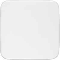 Busch-Jaeger Placa central ciega Busch-Infoline® blanco alpino - Reflex SI (1576 C-214), 2CKA001582A0354