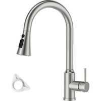JANLEMNY Pull Out Kitchen Sink Faucet, High Arch Single Handle Spray Swivel Mixer Tap with 2 Modes, Stainless Steel