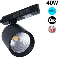 Faretto LED a binario monofase 40W - Pesce e frutti di mare