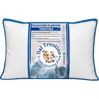 Oreiller en duvet d'oie 50x80 Trentin - Oreiller de lit en sergé en coton doux hypoallergénique